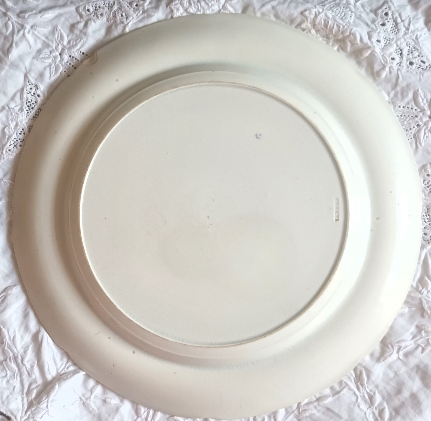 Antique English Georgian Blue & White Transfer Plate ~ "Views" ~ John Rogers & Son - Image 2